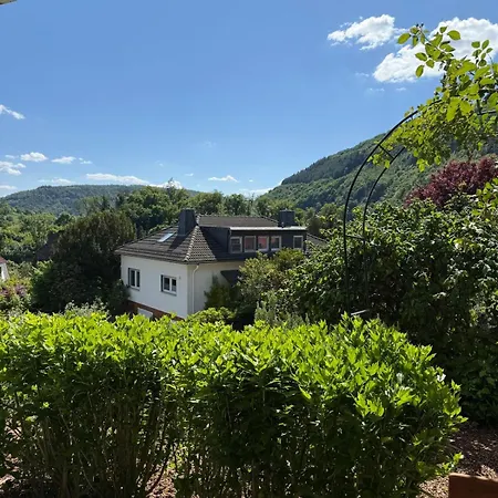 Three-castle-view In A New * Neckarsteinach