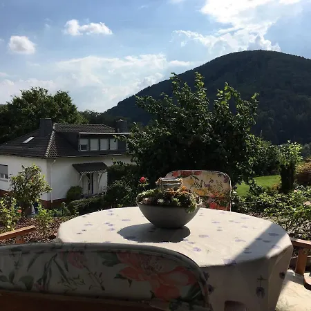 Three-castle-view In A New * Neckarsteinach