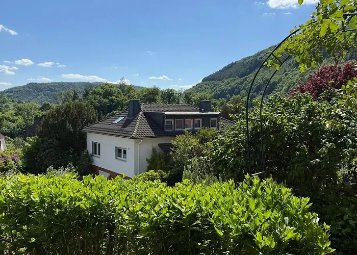 Three-castle-view In A New * Neckarsteinach